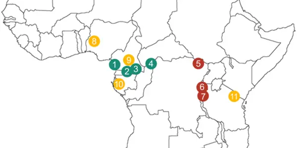 60,000 Year Evolutionary Gap Between African Pygmies And Neighboring Farmers