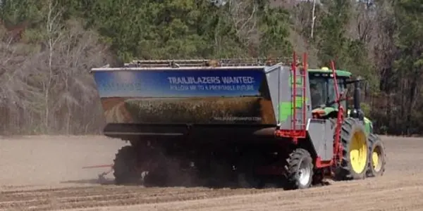 Miscanthus Grass For Biomass An Economic Alternative For Unusable Land
