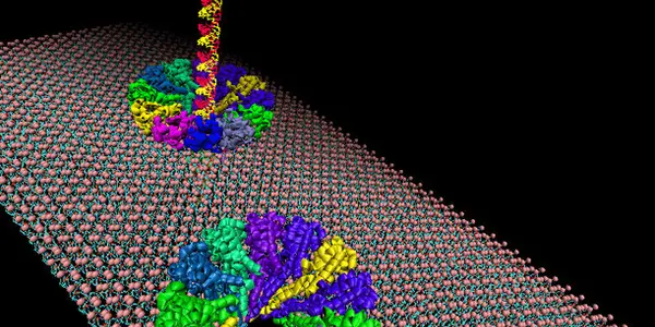 RNA-Powered Nanomotor Leads To Artificial Pores
