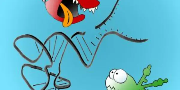 Molecular Identity Crisis - A Ribozyme Without RNA