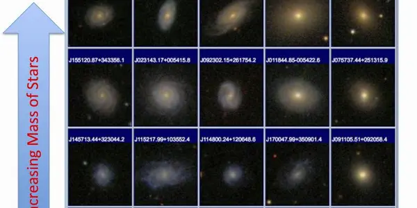 Red Stars Have Big Bulges: How Black Holes Shape Galaxies
