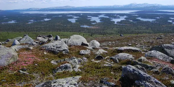 Glaciers, Drumlins And Ripple Moraine