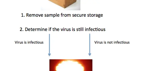 Smallpox In A Big Box With No Locks