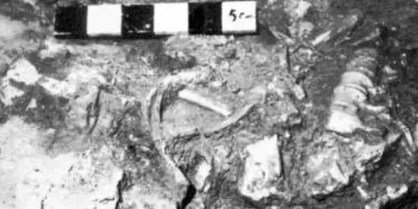 CSI Neanderthal: Interspecies Homicide Of Shanidar 3