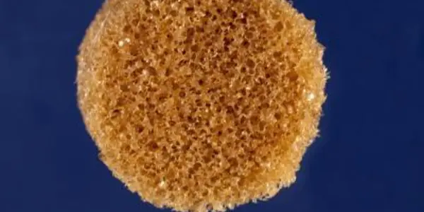 Shape-Shifting Material For Facial Reconstruction