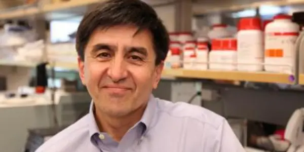 Nuclear Transfer Is Banned, But It's Superior For Creating Embryonic Stem Cells