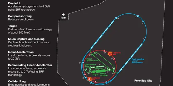The Promise Of A Muon Collider