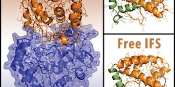 Antibiotics 2020 - Turning Bacteria Against Themselves