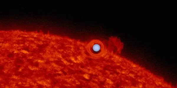 Self-Lensing Binary System And The Upside-Down Planet