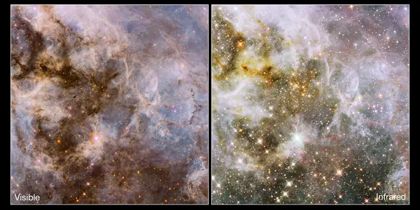Cosmic Creepy-Crawly: A Peek Inside The Tarantula Nebula