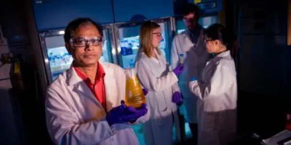 Glycocongugates Are More Than The Sum Of Their Sugars