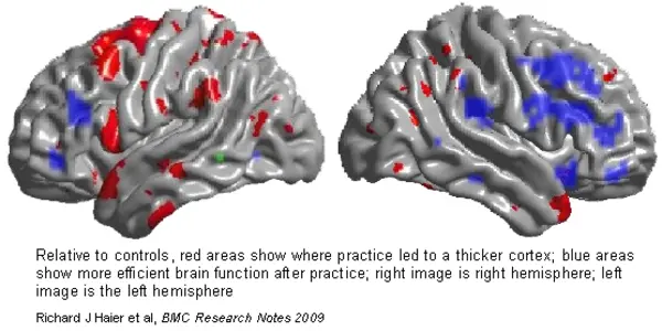 Play Tetris, Get Smarter (Reading Science Helps Too)
