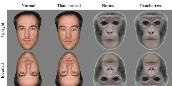 Monkey And Man - The Thatcher Illusion And Facial Recognition