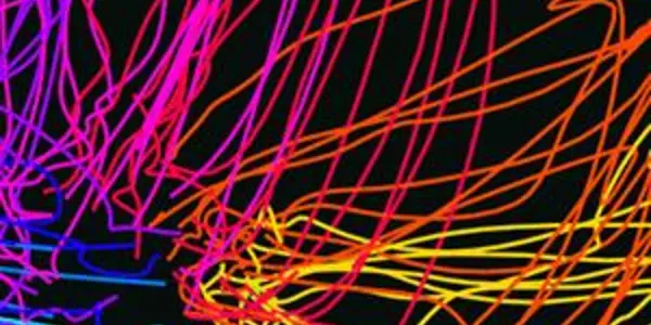 Science 2.0: Google Web Mining Can Help Neuroscientists Analyze Big Data