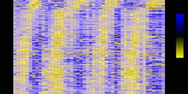 Circadian Workday?   8 Hours On The Job May Have A Biological Basis