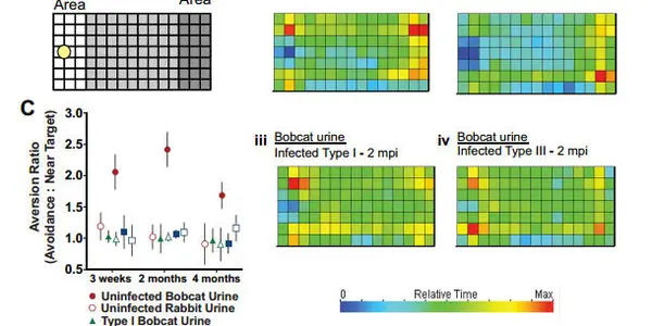 Toxoplasma, Cat Piss And Mouse Brains: My Lab’s First Paper On Microbial Manipulation Of Animal Behavior