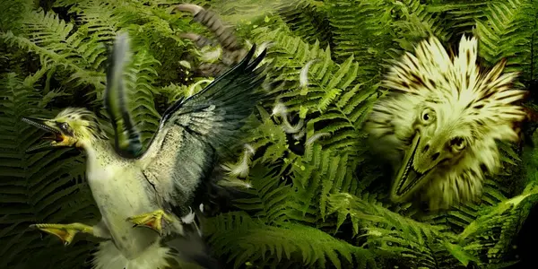 North American Small Carnivorous Dinosaur Species Now Up To 23