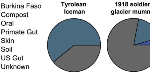Poop Shows Ancient Human Gut Microbiomes Resemble Modern Non-Human Primates More Than Us