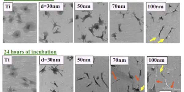 Using Nanowires To Grow Bone-Building Cells