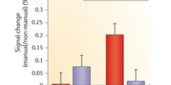 Is There Right-Handed Bias In Neuroscience Studies?
