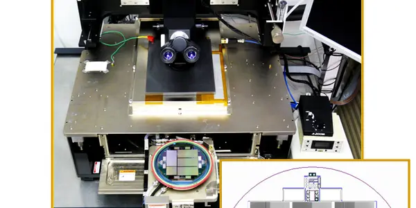 First Light For Dark Energy Camera - The CCDs That Made It Happen