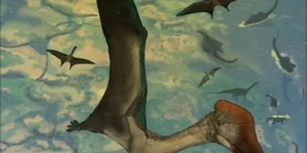 An Engineer and a soar point with Pterosaurs