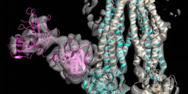 ABC Transporter Complex: How Cells Defend Themselves Against Antibiotics