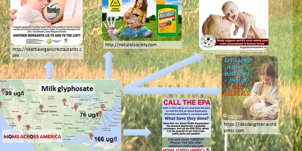 Kashi GoLean Non-GMO Project Cereal Has Traces Of Glyphosate