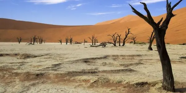 Africans Don't Want To Give Away Their Data To Western Scientists For Free - They're Not Wrong