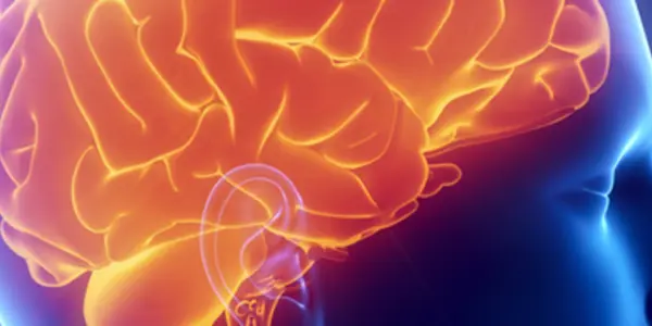 The Aging Brain Has Been Exaggerated