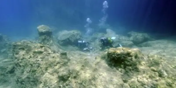 Tropical Fish Devastate Mediterranean Ecosystems