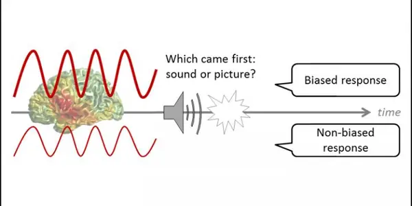 Can Alpha Waves Reveal The Bias In Your Brain?