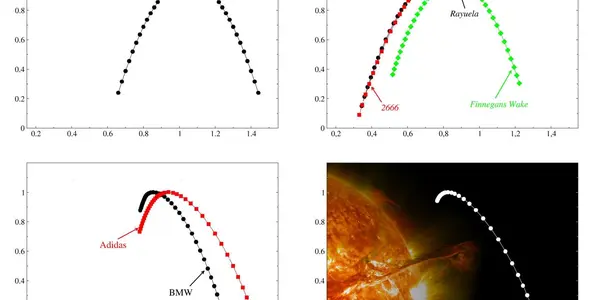 Multifractals Point To Existence Of Unknown Physical Mechanism On The Sun