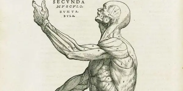Andreas Vesalius: 500th Birthday Of The Man Who Revolutionized Our Knowledge Of The Human Body