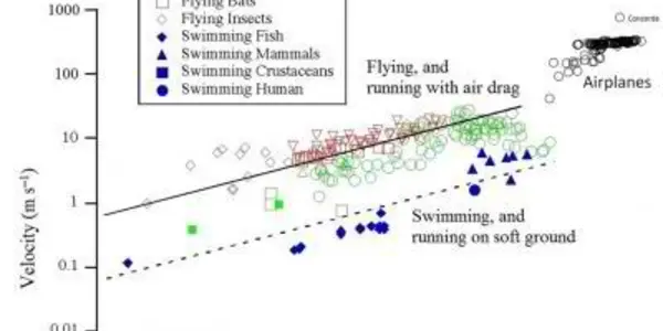 Constructal Law: Evolution Governed Science Of Airplanes