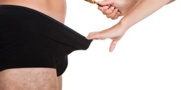 Phthalates And Prostates: Endocrine Disruptors Shortening The Distance Between Male Anus And Penis