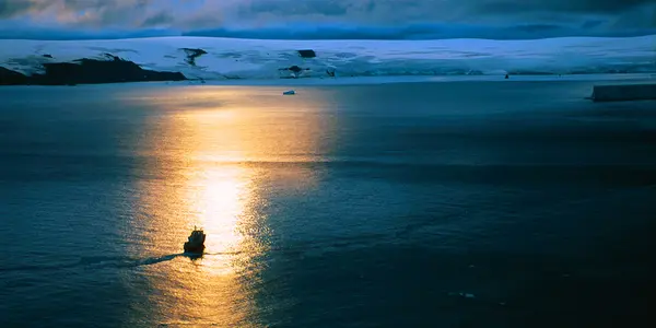 Let's send The Fossil Huntress to Antarctica!