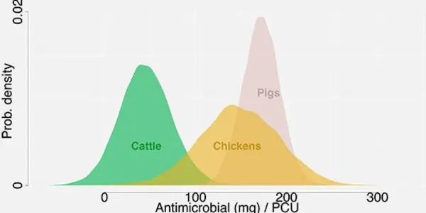 Antibiotic Use In Livestock Could Increase 67 Percent - What Impact On Effectiveness?