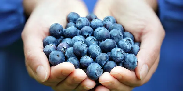 Why Antioxidants Might Make Your Cancer Worse