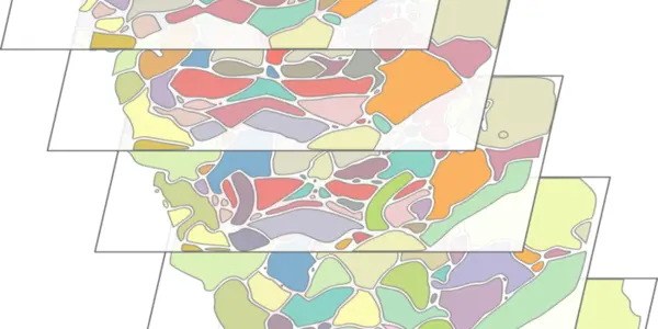 Appetite Map Of How Brain Functions Shape Cravings