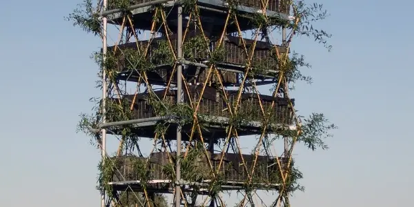 Arbo-Architecture:  Literally Green Building Is A Tower Made From Living Trees