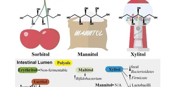 Artificial Sweeteners Are Not Harmful For Gut Microbiota, They Are Even Prebiotics