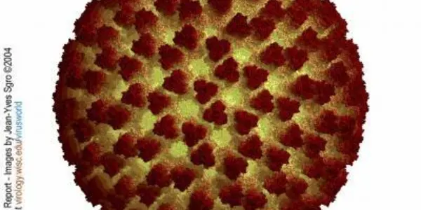 The Math Of Cancer: Traveling Waves Model Tumor Invasion