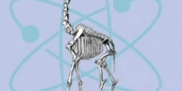 Recalculation of giraffe height
