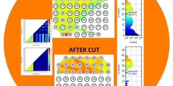 Culturing The Brain Connectome In A Dish