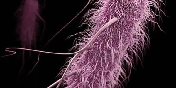 Common Respiratory Infection Bacteria On Verge Of Becoming Superbugs