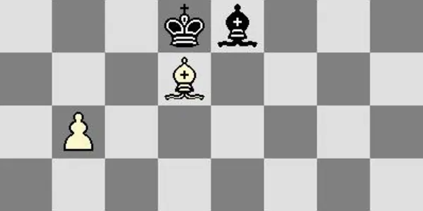 Chess News