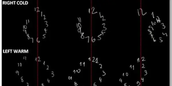 Big, Small Numbers Processed In Different Sides Of The Brain