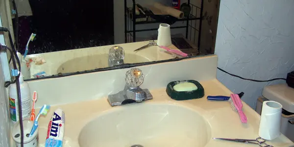 An Interesting Encounter With Some Co-Habitating Ants