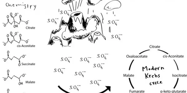Before Mitochondria: An Enzyme-Free Krebs Cycle?